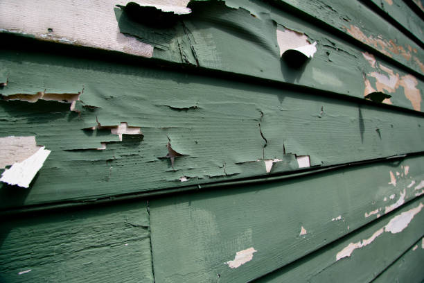 Mandeville, LA Junk Removal Company