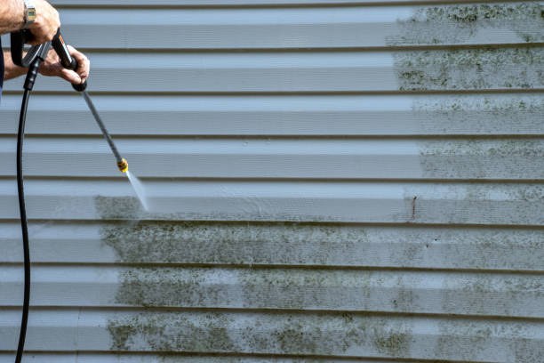 Best Property Management Cleanouts  in Mandeville, LA